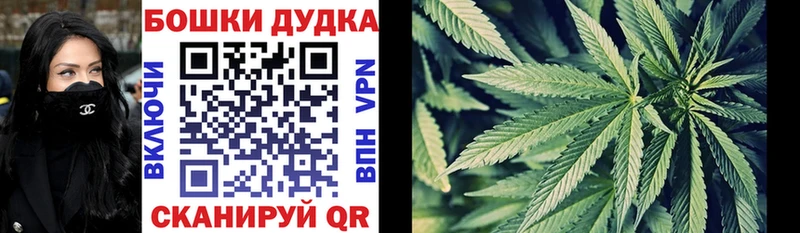 Бошки Шишки Ganja  продажа наркотиков  Долинск 